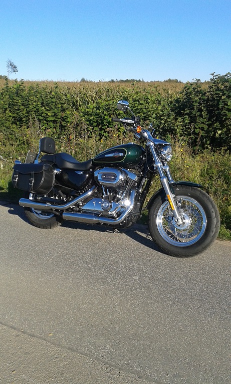 Harley-Luja
