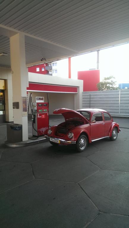 IMAG0943.jpg