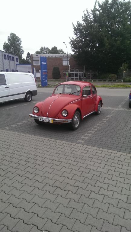 IMAG0947.jpg