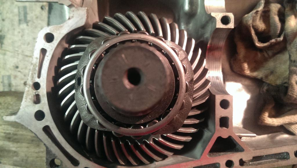 IMAG1167.jpg