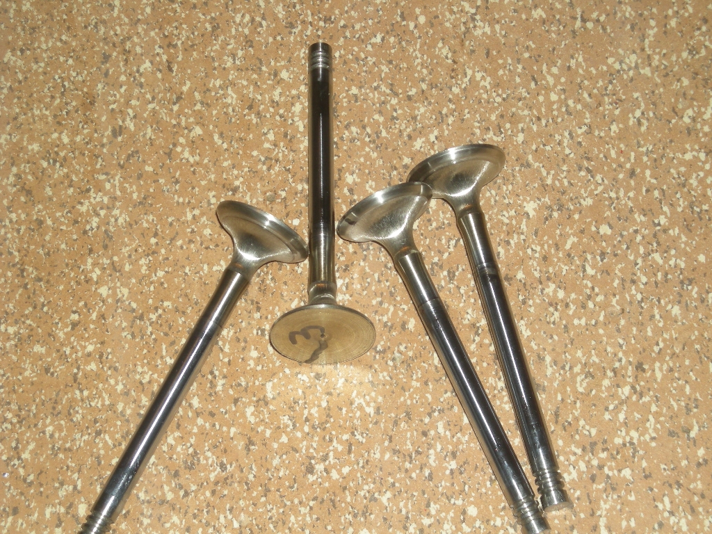 DSCN1170.JPG