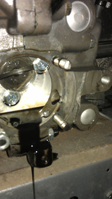 IMAG0075.jpg