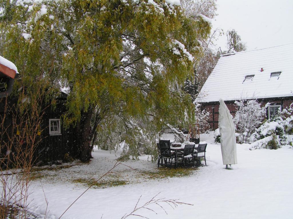 PICT0003.JPG