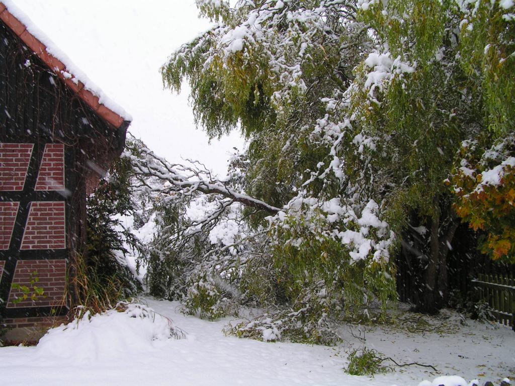 PICT0001.JPG
