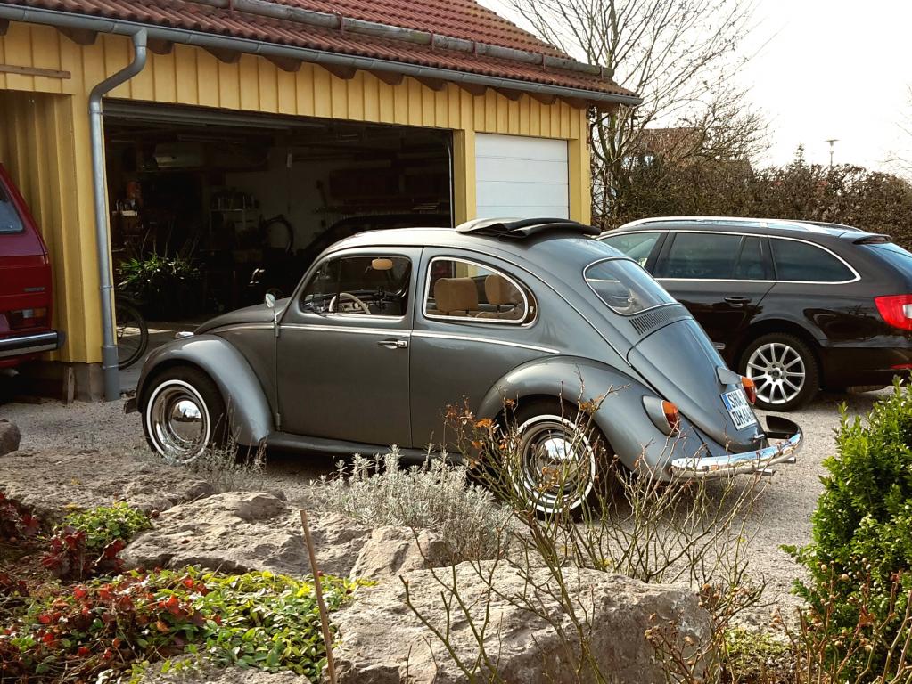 2017-02-25 19.59.16.jpg