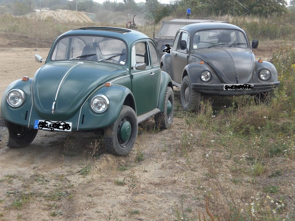 CIMG5488.JPG