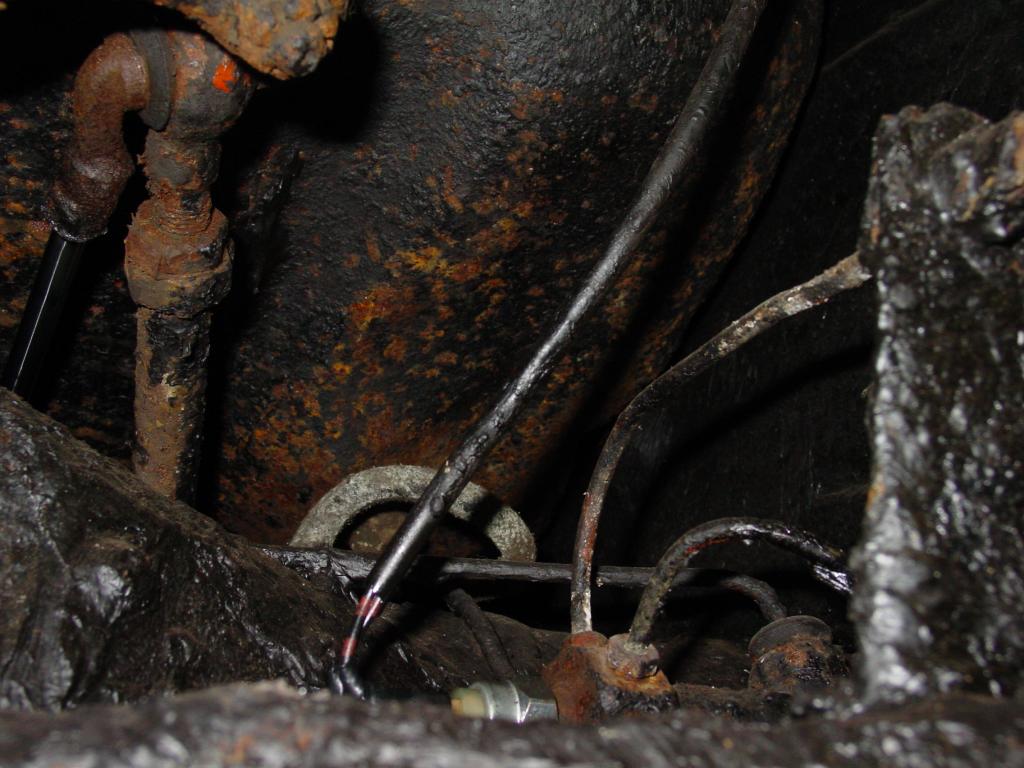 DSC08007.JPG