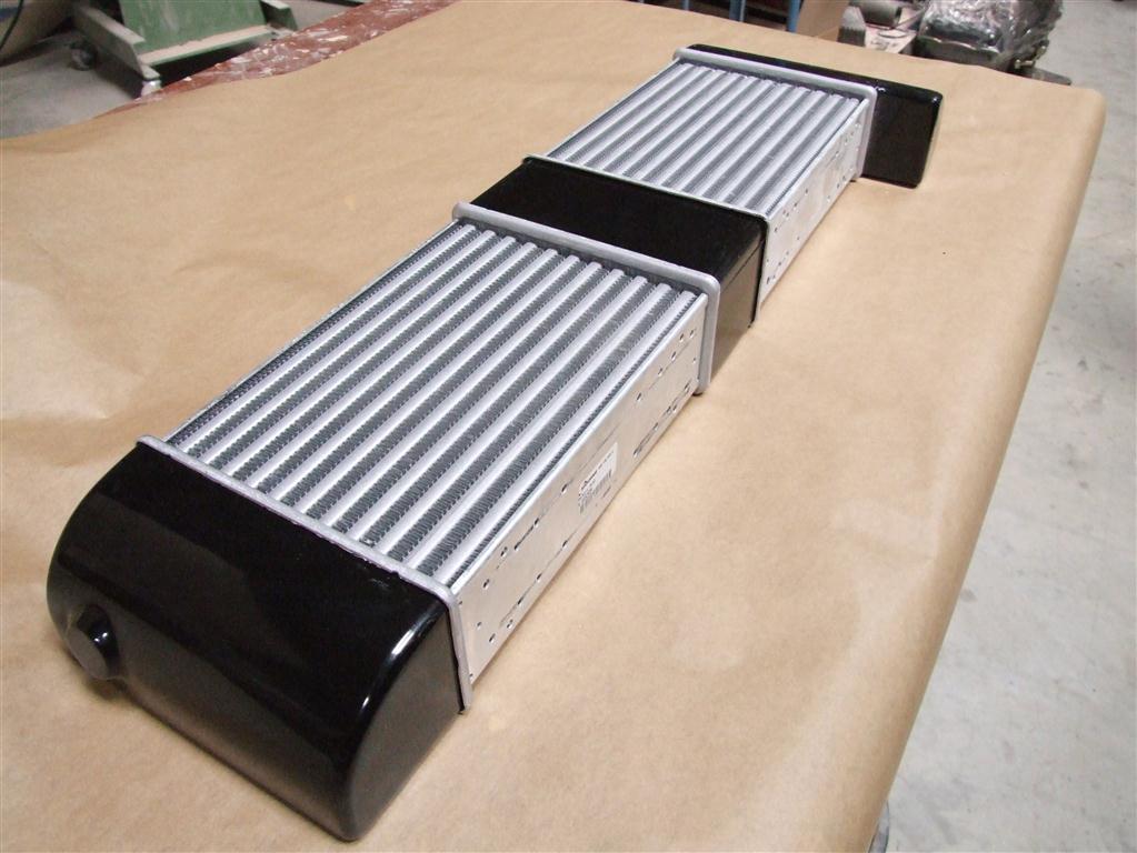 DSCF8487 (Medium).JPG