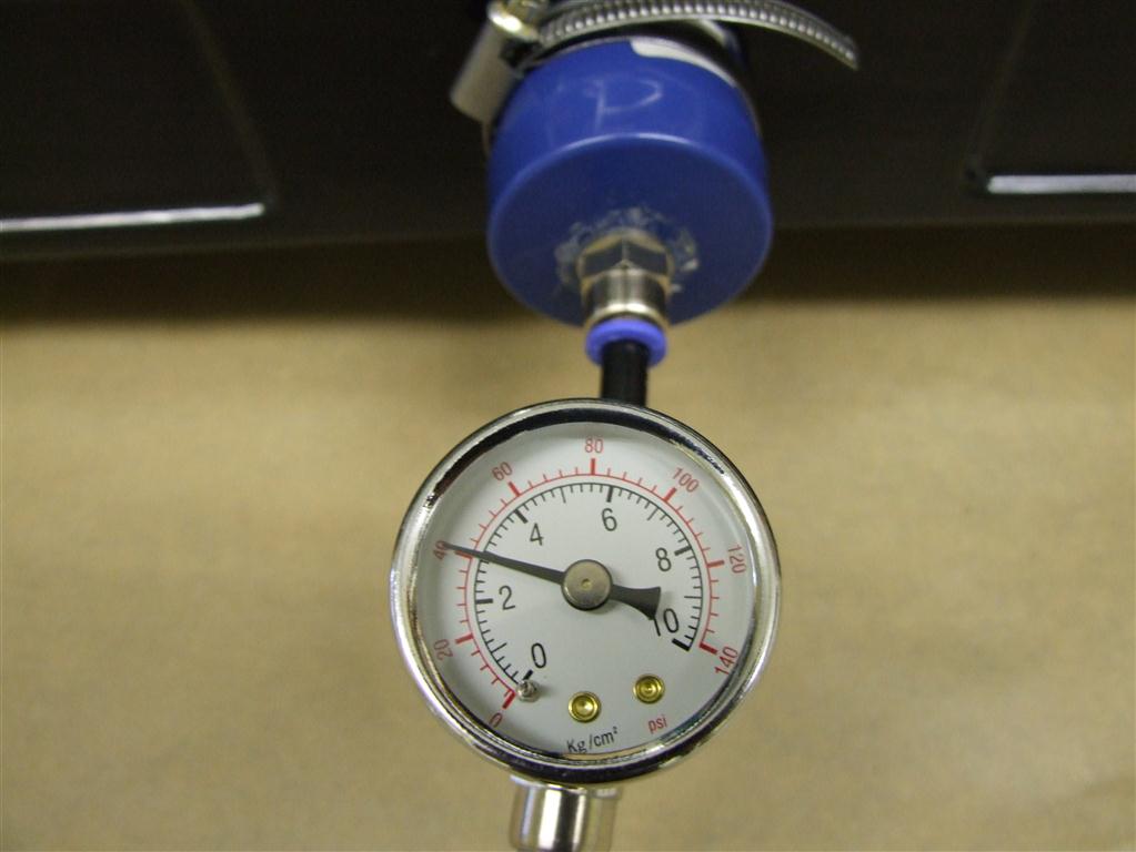 DSCF8595 (Medium).JPG