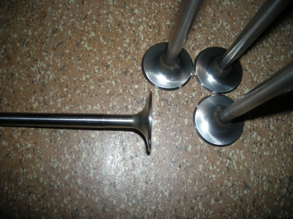 DSCN1144.JPG