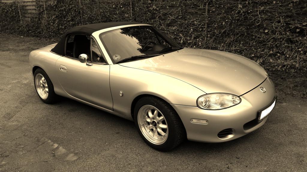 alfa spiegel neu (2).jpg