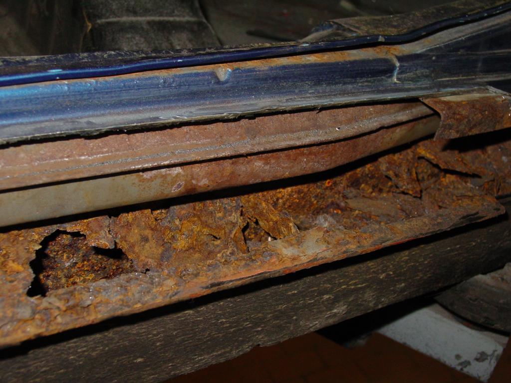 DSC07930.JPG