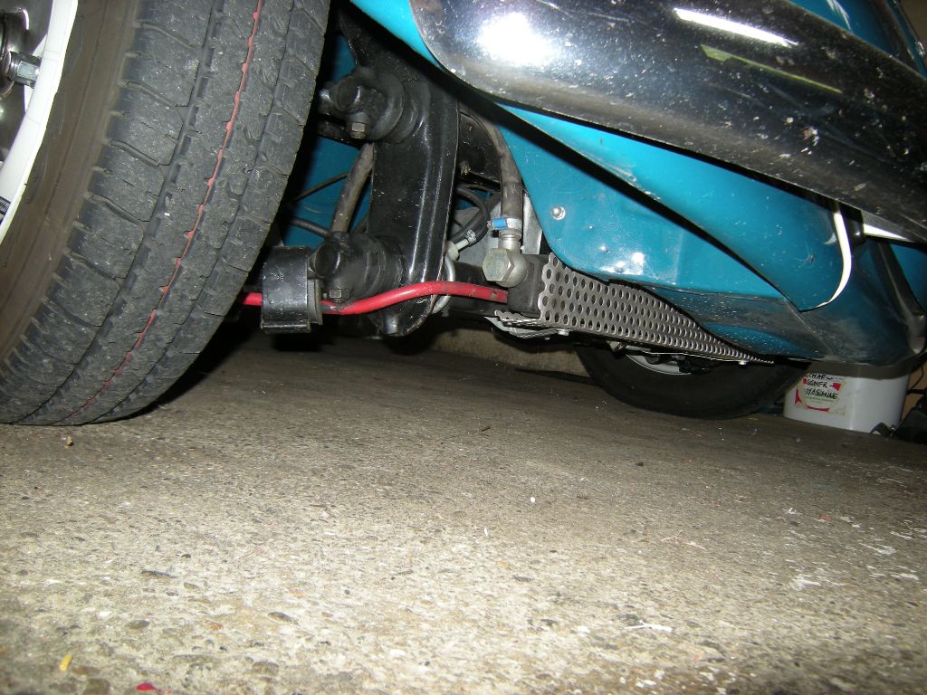 Käfer 3.JPG