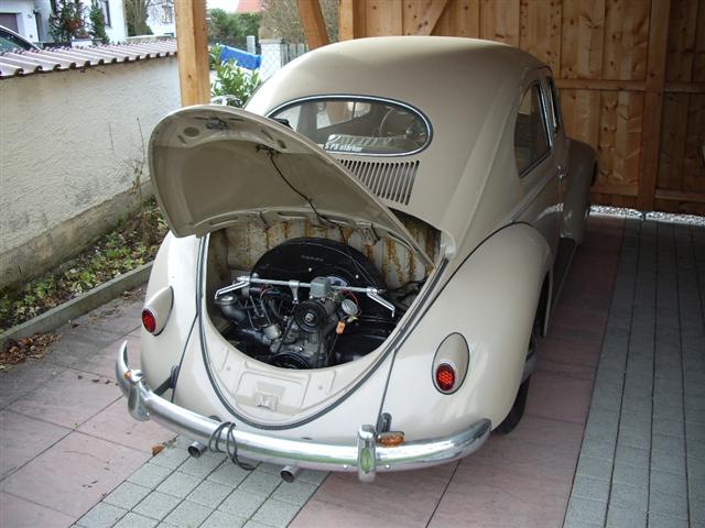 IMGP3907 (Small).JPG