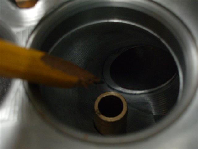 IMGP3980 (Small).JPG