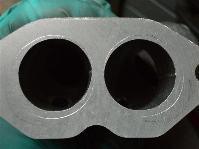 IMGP3988 (Small).JPG