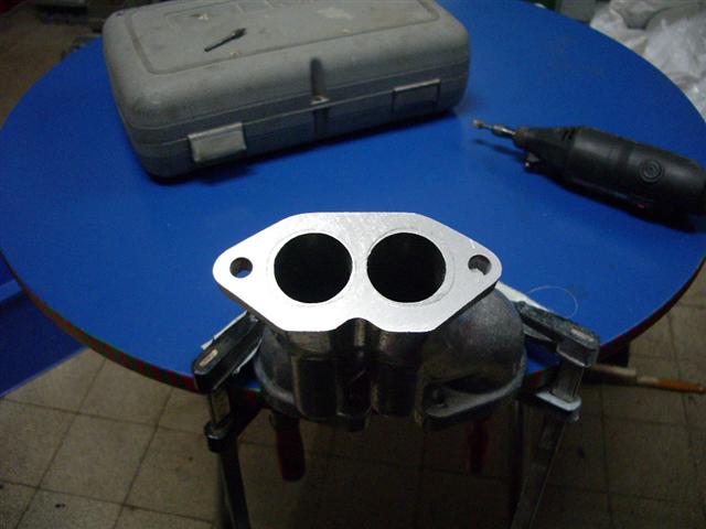 IMGP3981 (Small).JPG