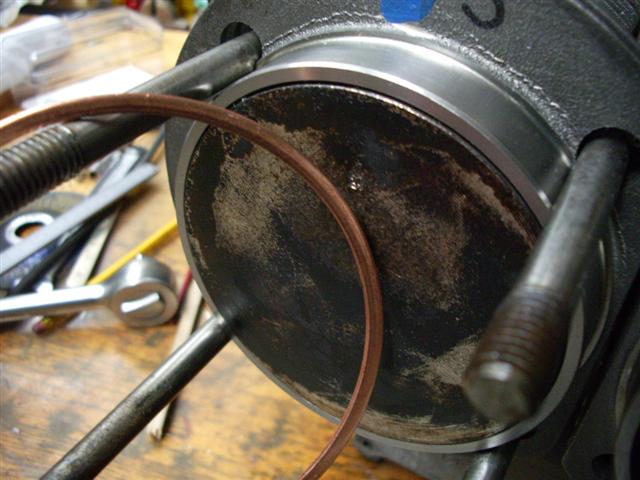 IMGP4046 (Small).JPG