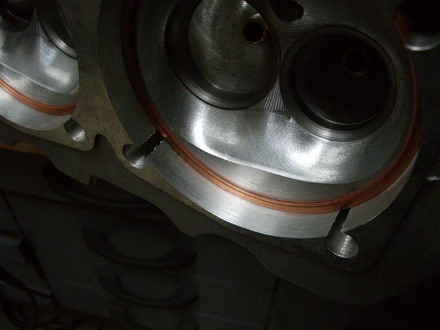 IMGP4047 (Small).JPG