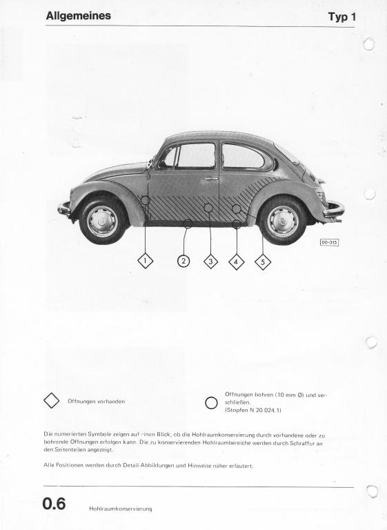 Käfer_Teil3.jpg