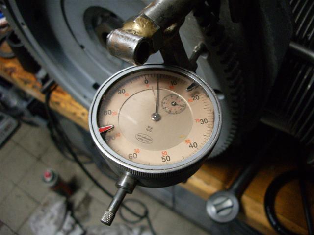 IMGP4140 (Small).JPG