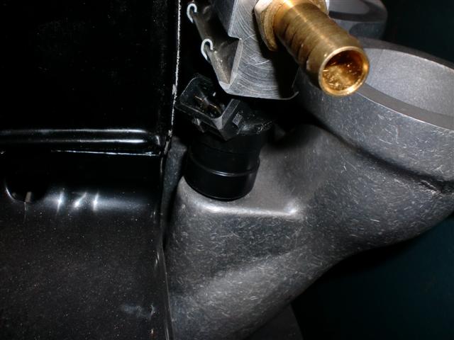 CIMG2289 (Small).JPG