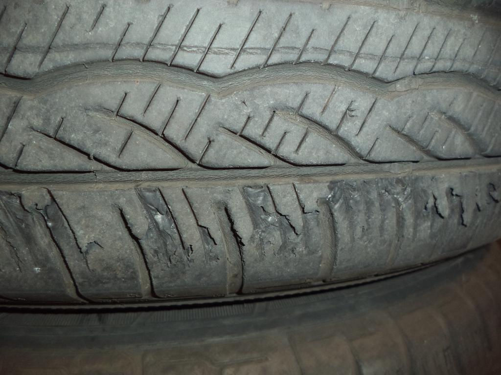 DSC02601.JPG