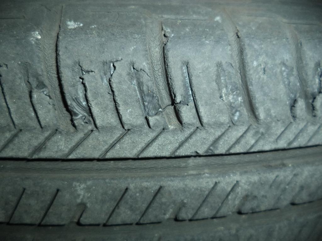 DSC02602.JPG