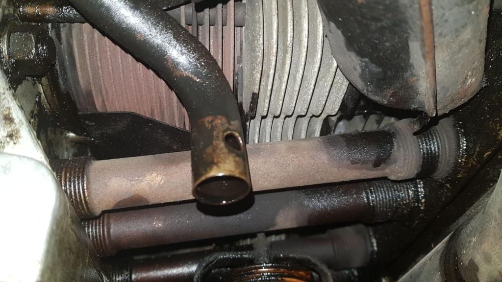 WhatsApp Image 2019-10-08 at 12.08.13.jpeg