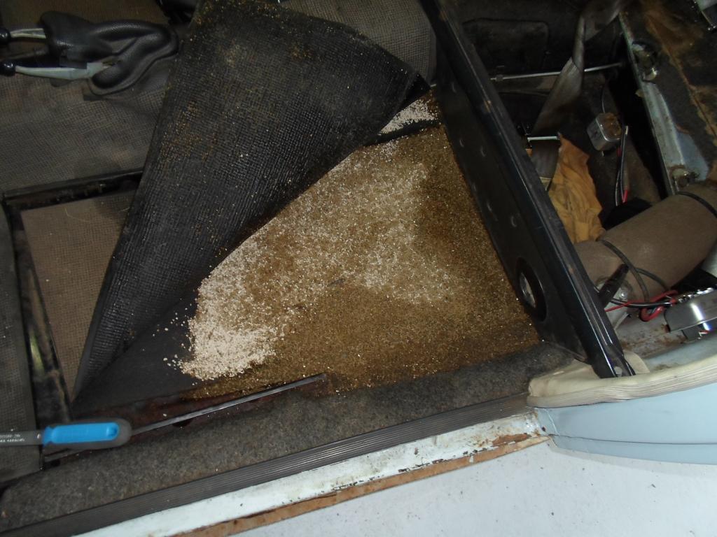 Woher zum Teufel kommt das Katzenstreu????