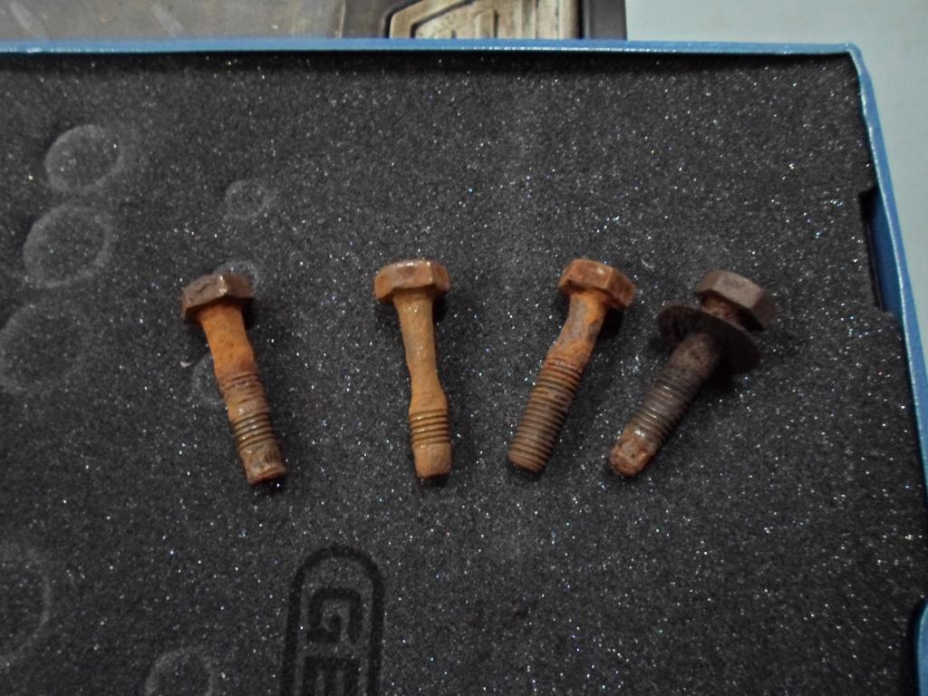 Auf Empfehlung sollte ich vermeiden die abzureissen. Erstaunlich gut rausgedreht