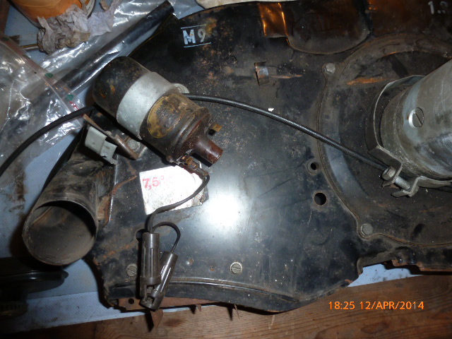 P1020372.JPG