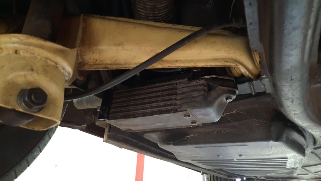 WhatsApp Image 2020-05-15 at 16.49.00.jpeg