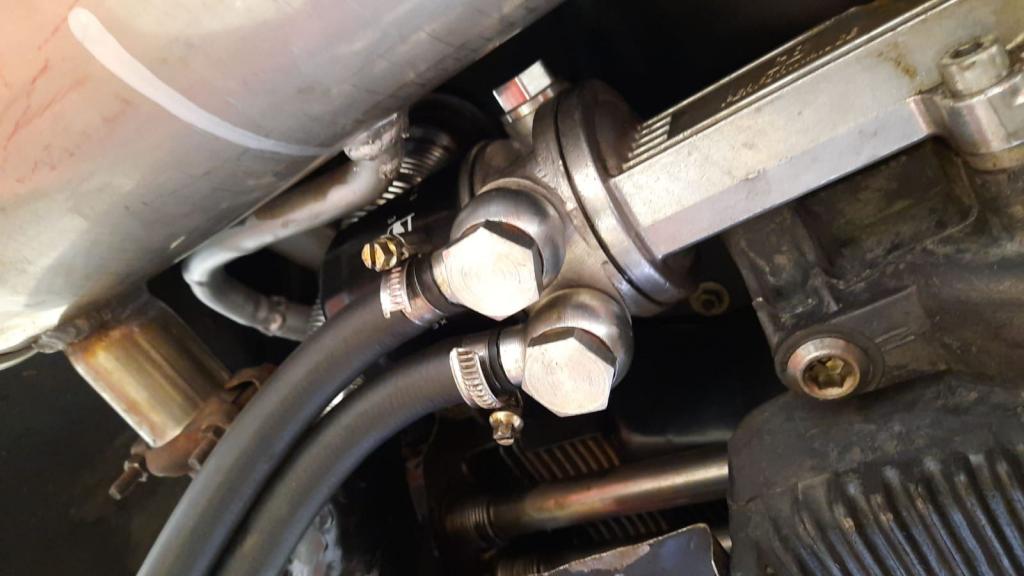 WhatsApp Image 2020-05-15 at 16.48.47.jpeg