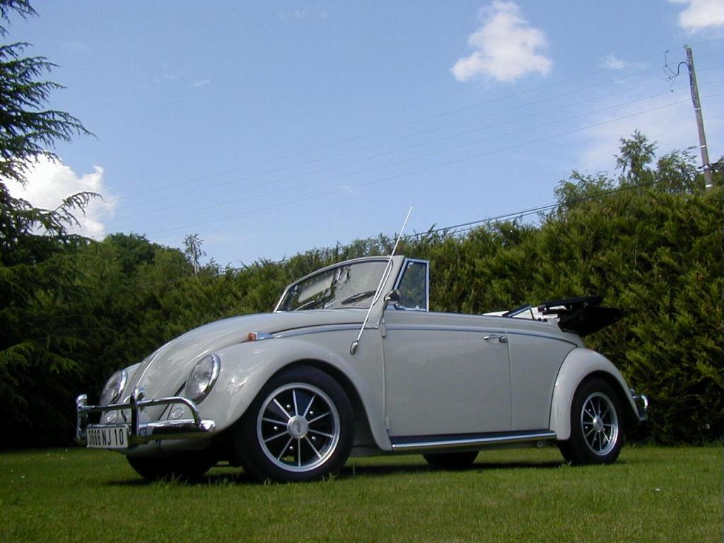 Ausgeliehen auf thesamba.com