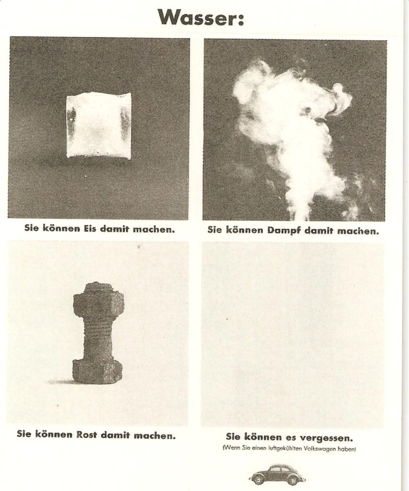 Rost2.jpg