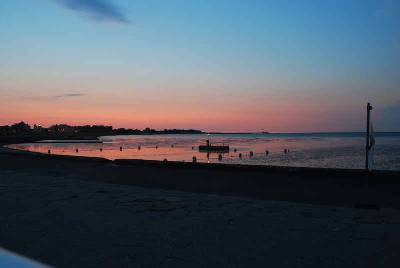 DSC_7029.jpg