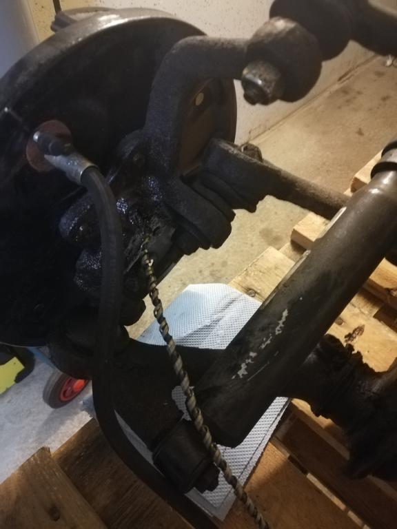 Tachowelle fest 1.jpg