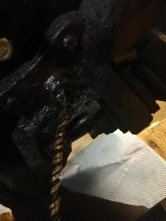 Tachowelle fest 2.jpg