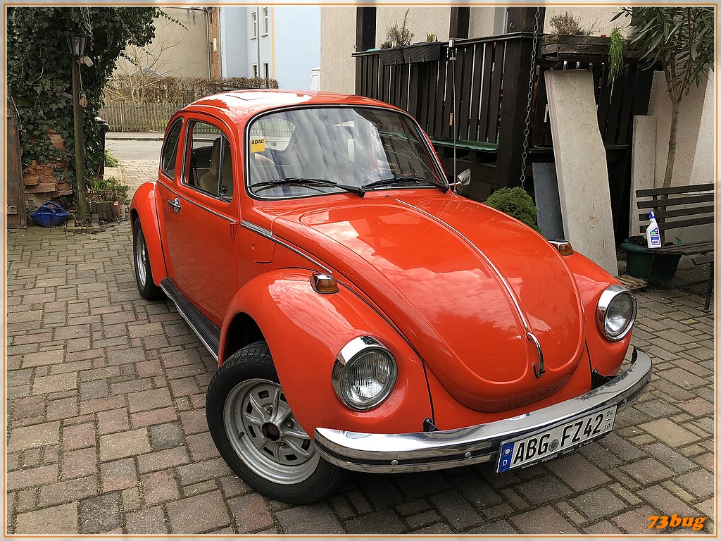 bug_055.jpg