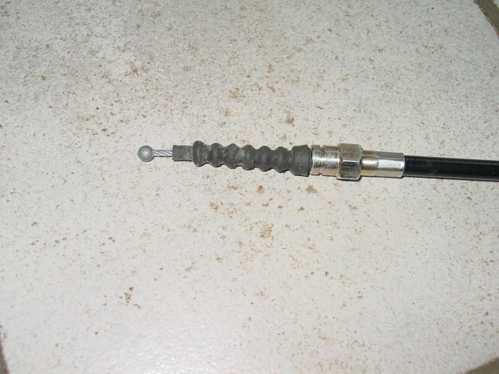 DSC01001.JPG