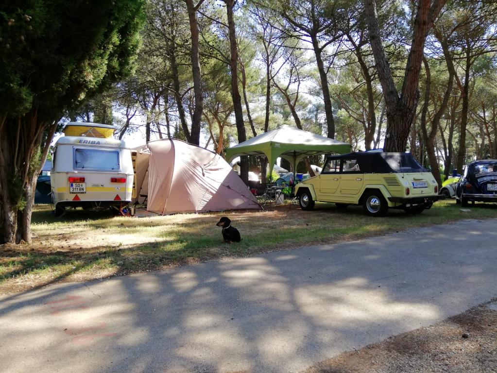 Camp Conny Rovinj 2018