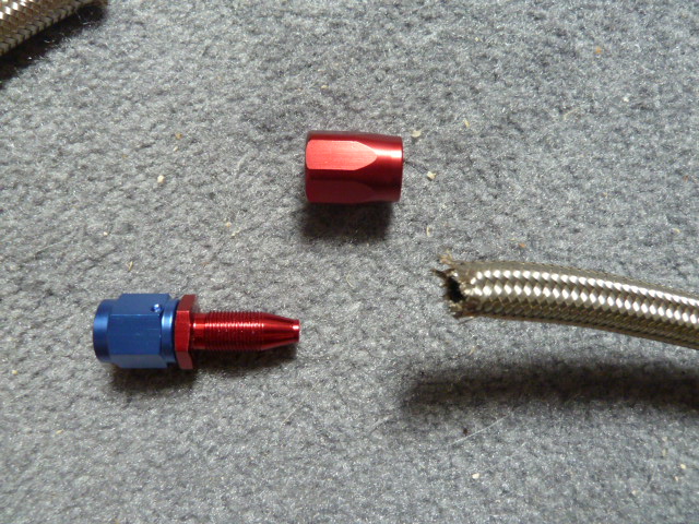 P1010168.JPG
