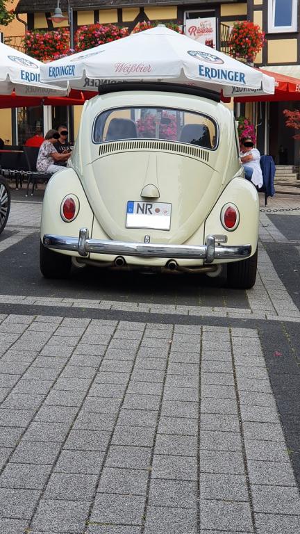Motor5.jpg