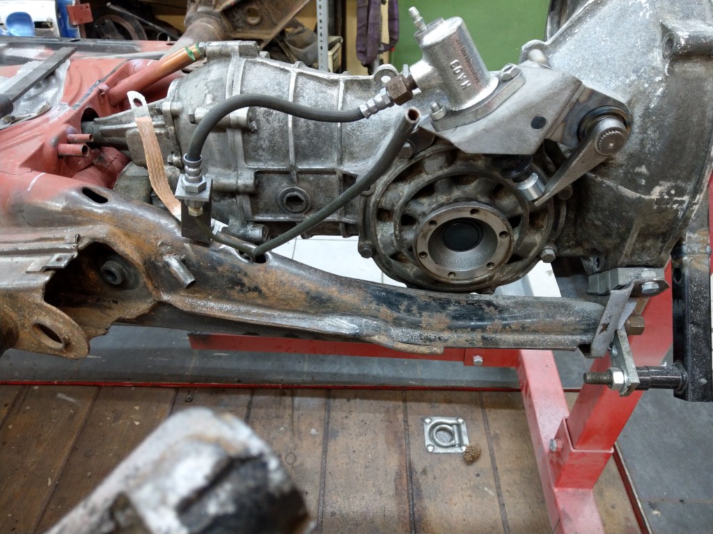 IMAG7991 (Mittel).jpg