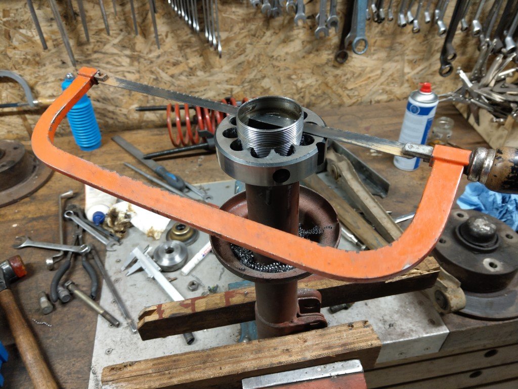 IMAG8451 (Mittel).jpg