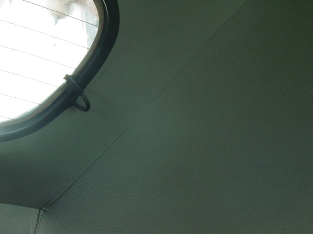 DSC01550.JPG
