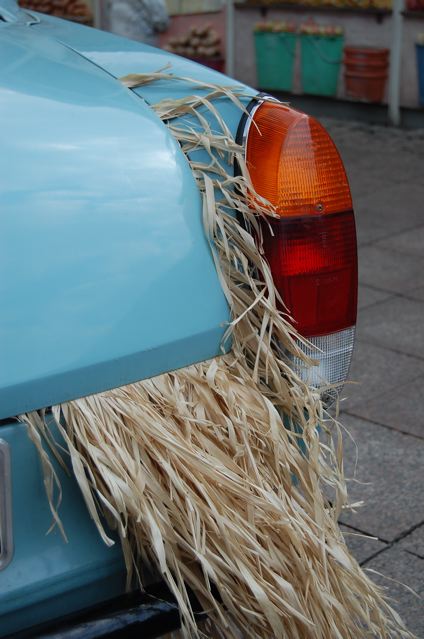 DSC_0082.jpg