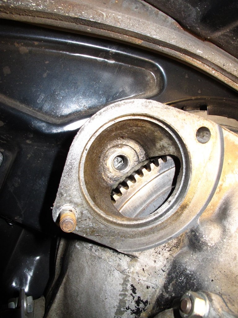 Unser Käfer-301.jpg