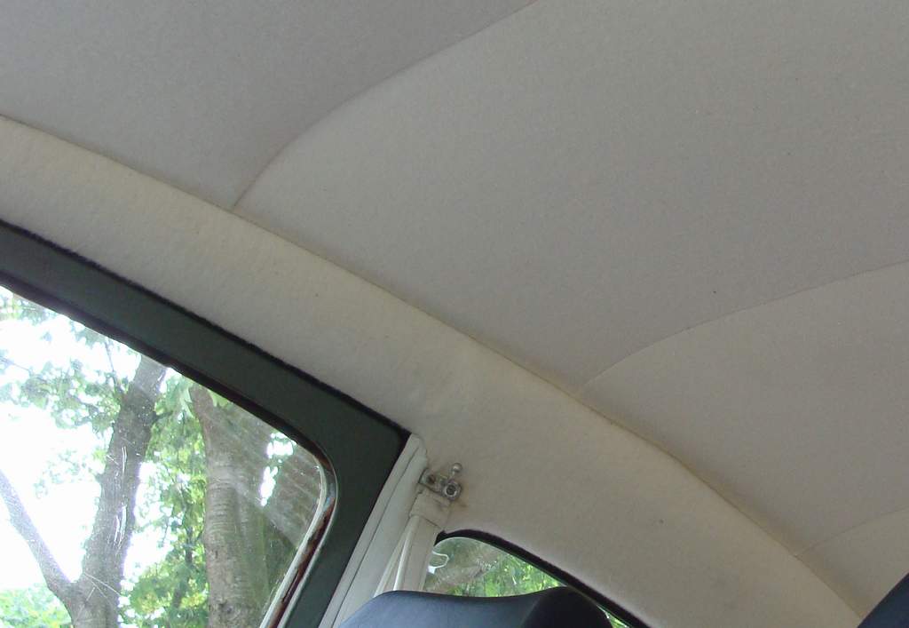 Bild 1260.jpg